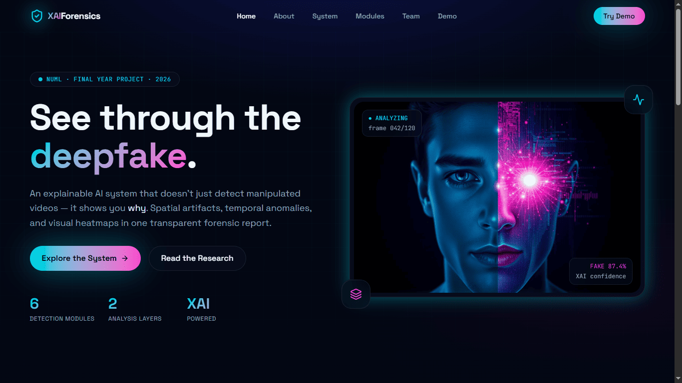 Introduction project view