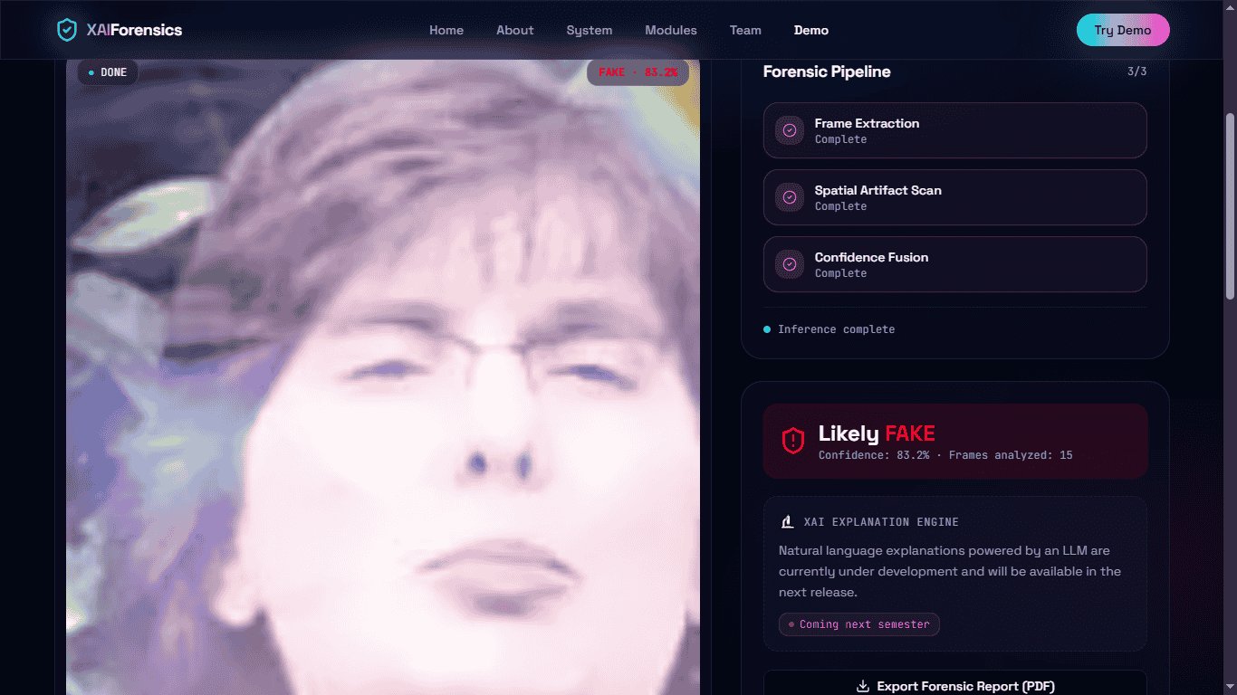 Object detection preview